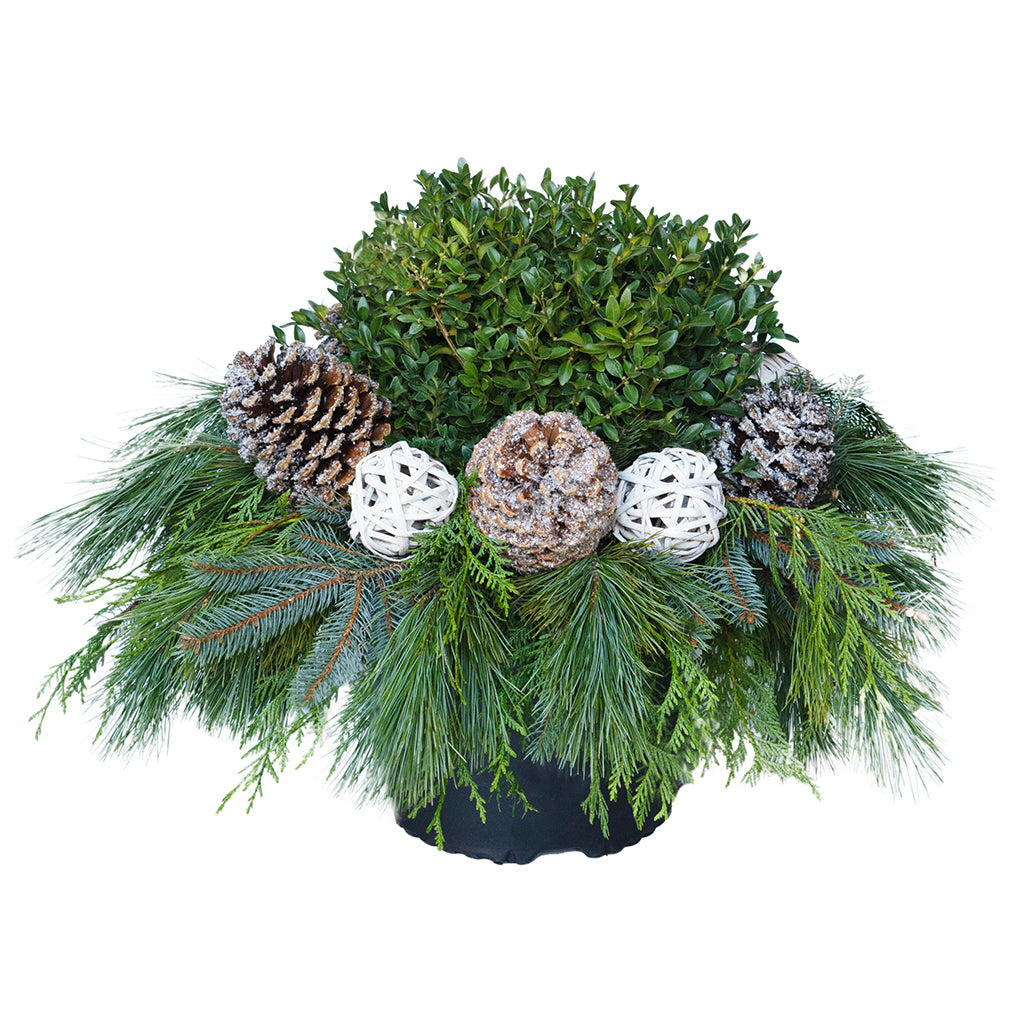 Urn Arrangement: Snowfall Spirit 12&quot; - Delivery Included