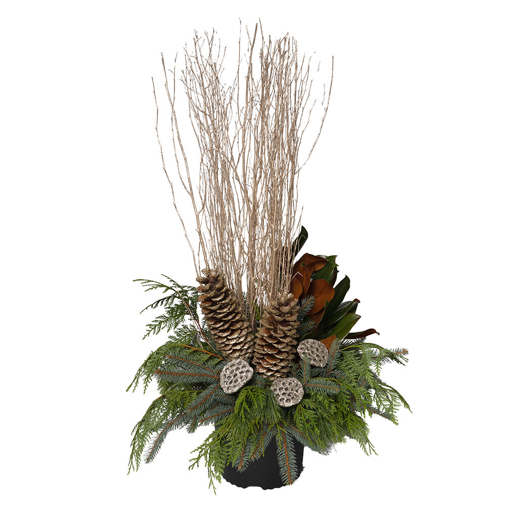 Urn Arrangement: All That Glitters 12&quot; - Delivery Included