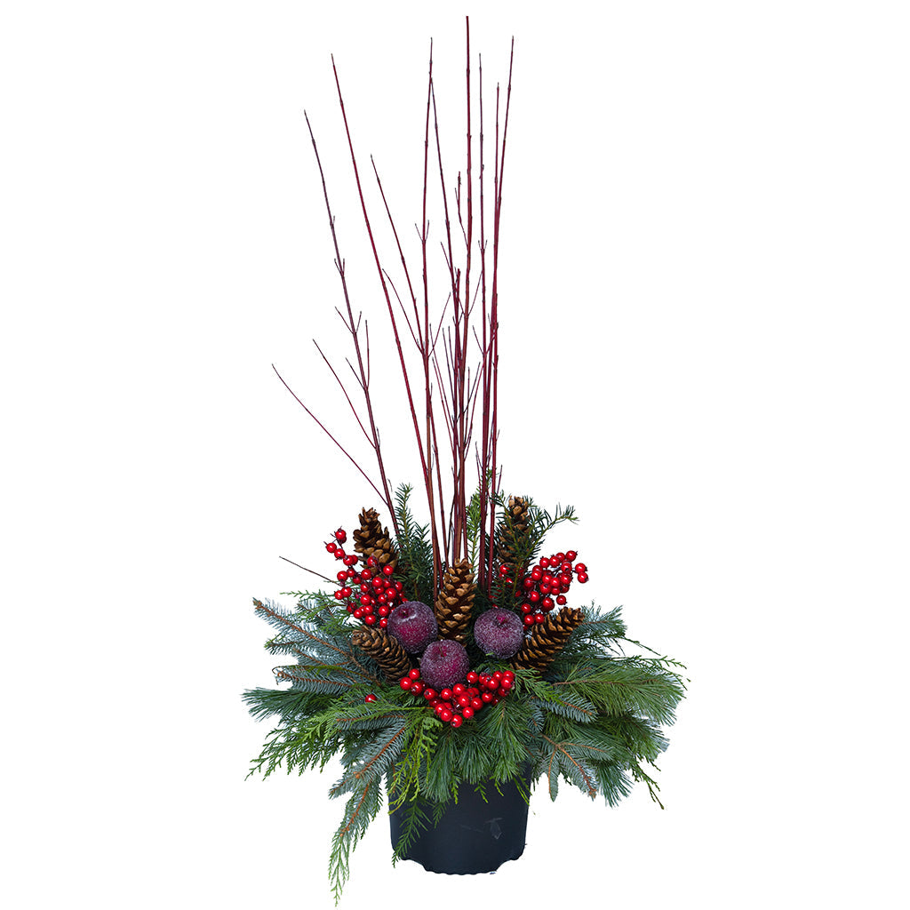 Urn Arrangement: Red Berry Bliss 12&quot; - Delivery Included